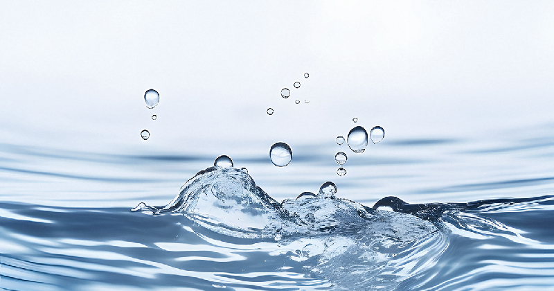 水污染微生物降解評(píng)估